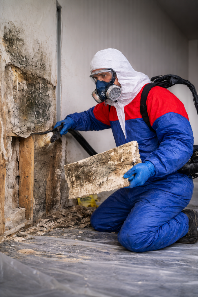 Water Damage Restoration